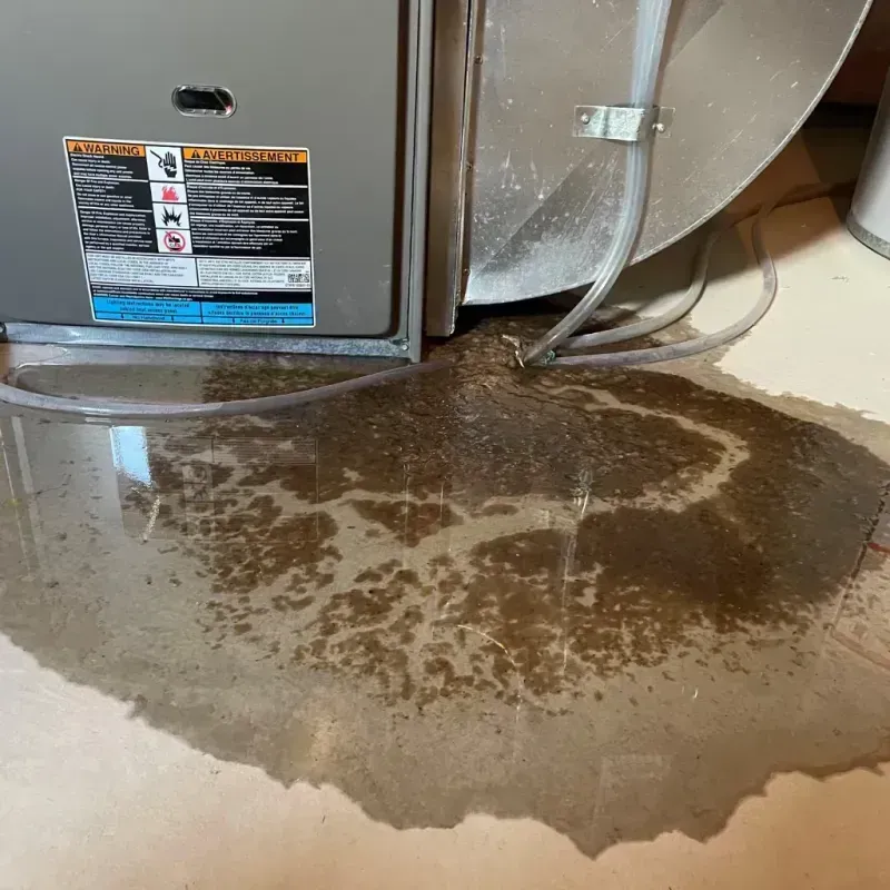 Appliance Leak Cleanup in Brown County, WI